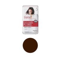 ราคา Shiseido Tiara Cream Hair Color ชิเซโด เทียร่า ครีมปิดผมขาว ยาย้อมผม ครีมเปลี่ยนสีผม (16199737630)