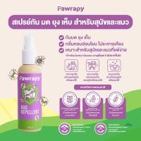 ราคา Pawrapy Bug Repellent Spray For Dogs and Cats สเปรย์ป้องกันยุง มด เห็บ สำหรับสุนัขและแมว (24414623766)