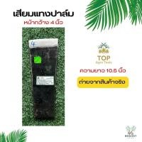 ราคา เสียมแทงปาล์ม ตราปาล์ม3ต้น มีหน้าขนาด 3 5 นิ้ว เสียมเหล็กแหนบ อย่างดี เสียมแทงปาล์มของแท้ รับประกันความคม ทนทาน นำเข้าจากมาเลเซีย (18407164162)