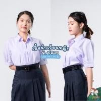 ราคา เสื้อนักเรียนหญิงกัญญาภัค เสื้อ ม ปลาย สำหรับนักเรียนมัธยมปลาย ขนาดเบอร์ 36 54 นิ้ว (23622326838)