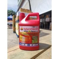 ราคา ไกล โฟเซต 48 ตราจิงโจ้ สารกำจัดวัชพืช 4 ลิตร (20690481908)