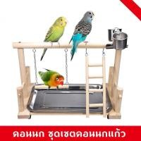 ราคา คอนนก ชุดเซตคอนนกแก้ว ของเล่นนก ถาดสแตนเลส คอนนกยืน สำหรับนกแก้วขนาดเล็ก นกเลิฟเบิร์ด นกแก้ว นกหงส์หยก (21772888515)