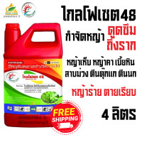 ราคา ไกลโฟเซต48 สมาร์ทฟาร์ม 4ลิตร สารกำจัดวัชพืช ชนิดดูดซึม ไม่เลือกทำลาย หญ้าตายนานยันราก ฆ่าหญ้า ใบแคบ ใบกว้าง และ กก ทุกชนิด (24372125004)