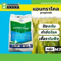 ราคา แอนทราโคล Antracol สารโพรพิเนบ สารป้องกันและกำจัดโรคพืช 1 กิโลกรัม (21778720080)