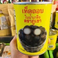 ราคา เห็ดถอบในน้ำเกลือ เห็ดถอบกระป๋อง ขนาด 500 เนื้อ 250 น้ำ 250 เห็ดถอบ เห็ดถอบกระป๋อง ตราภูเขา เห็ดเผาะ เห็ด เห็ดเผาะกระป๋อง (6576942751)