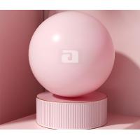 ราคา ลูกบอลโยคะขนาด PVC 25 ซม ฟิตบอล Fitball (21380392419)
