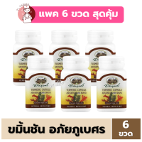 ราคา แพค6ขวด ขมิ้นชัน แคปซูล ตราอภัยภูเบศร กระปุกละ 60 แคปซูล อภัย ประกอบด้วยผงขมิ้นชัน 400 mg (21575257714)