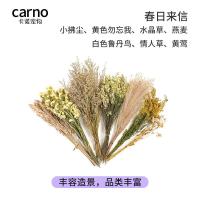 ราคา CARNO Hamster Cage Decorative Supplies Natural Dried Flower And Grass Bedding Odor Eliminator Hamster Cage Interior Scenery Gold Retriever (22940127829)