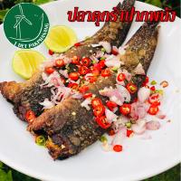 ราคา ปลาดุกร้า 1กิโลกรัม คละไซส์ จำนวน 8 12 ตัว ปลาดุกร้าสะอาด ปลาดุกร้าปากพนัง (12595519024)