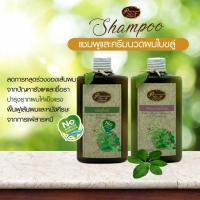 ราคา แชมพูใบขลู่ และ ครีมนวดใบขลู่ ช่วยรักษาอาการคันศรีษะเป็นตุ่มหนองหรือมีแผล หนังศรีษะลอก ลดการหลุดร่วงของเส้นผมและรังแค ขนาด 250 ML (637972197)