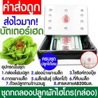 ราคา โค้ดส่งฟรี ชุดทดลองปลูกผักไฮโดร อุปกรณ์ครบชุด ผักไร้ดิน ชุดปลูกผัก ชุดปลูก ผักไฮโดรโปนิกส์ ผักไฮโดร กล่องโฟม ผักสลัด กรีนโอ๊ค คอส (19172576092)