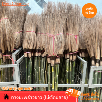 ราคา ไม้กวาดทางมะพร้าวยาว ไม่ตัดปลาย 1 มัด 10 ด้าม ด้ามยาว 120 ซม เเข็งเเรง ทนทาน (20629458694)