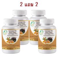 ราคา 1แถม1 ขมิ้นชันผสมพริกไทย และ ขิง พลัส ตรา บ้านยิ้ม Curcumin Mix Black Pepper Ginger Plus 600 มก 100 เม็ด (23716500293)