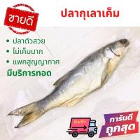 ราคา ส่งเร็ว ปลากุเลาเค็ม ปลากุเลาตากใบ ปลากุเลาหอม ปลากุเลาทอด ไม่เค็มมาก salted fish ปลากุเลาหอม ปลาแห้ง อาหารทะเลแห้ง ปลาเค็ม ปลาแดดเดียว (10302607918)