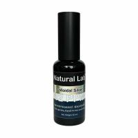 ราคา Colloidal Silver Spray 12PPM 50ml By Natural Lab (14608677455)