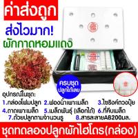 ราคา โค้ดส่งฟรี ชุดทดลองปลูกผักไฮโดร อุปกรณ์ครบชุด ผักไร้ดิน ชุดปลูกผัก ชุดปลูก ผักไฮโดรโปนิกส์ ผักไฮโดร กล่องโฟม ผักสลัด กรีนโอ๊ค คอส (19172576079)