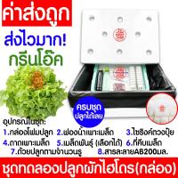 ราคา โค้ดส่งฟรี ชุดทดลองปลูกผักไฮโดร อุปกรณ์ครบชุด ผักไร้ดิน ชุดปลูกผัก ชุดปลูก ผักไฮโดรโปนิกส์ ผักไฮโดร กล่องโฟม ผักสลัด กรีนโอ๊ค คอส (19172576075)