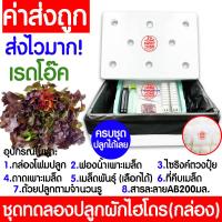 ราคา โค้ดส่งฟรี ชุดทดลองปลูกผักไฮโดร อุปกรณ์ครบชุด ผักไร้ดิน ชุดปลูกผัก ชุดปลูก ผักไฮโดรโปนิกส์ ผักไฮโดร กล่องโฟม ผักสลัด กรีนโอ๊ค คอส (19172576073)