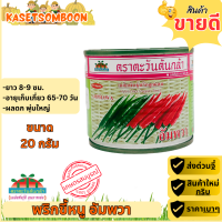 ราคา พริกอัมพวา เมล็ดพันธุ์พริกขี้หนูลูกผสม 20 50 ก ตราตะวันต้นกล้า (1822428783)