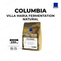 ราคา Bluekoff เมล็ดกาแฟ Colombia Villa Maria Fermentation Natural อราบิก้า 100 ขนาด 250 กรัม (24408887337)