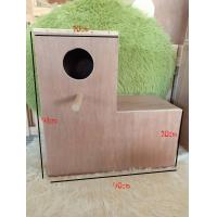 ราคา กล่องนกซันคอร์นัว ริงเน็ค ตัวแอลรังเพราะนกซันคอร์นัว ริงเน็ค แอฟริกันเกรย์ (23733501514)