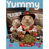 ราคา อาหารแพรี่ด็อก Nutri pro 1 กิโล กระต่าย แกสบี้ ชินชิล่า (24501506756)