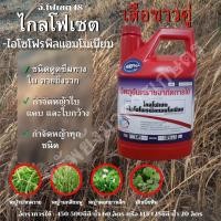 ราคา ไกลโฟ เซต 48 ตราเสือขาวคู่ 4ลิตร แกลลอนขาว ยาชนิดดูดซึม สารกำจัดวัชพืช ใบกว้าง ใบแคบ หญ้าคา (19905431113)