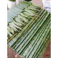 ราคา ตับจากมุงหลังคาชุดละ10ตับ10ชิ้น ขนาดกว้าง 40 cm ยาว100cmและขนาด ยาว 130 ซม กว้าง 40 ใช้ตกแต่งสวนคาเฟ่หรือทำเป็นหลังคาสวยงาม (21584744639)