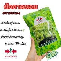 ราคา ผักกาดหอมตราศรแดง 50 กรัม ผักสลัด เมล็ดพันธุ์ ผักกาดหอม แกรนด์ แรปิดส์ เมล็ดพันธุ์ผักสวนครัว เมล็ดสลัด อัตราการงอกสูง (11608446836)