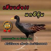 ราคา เสียงนกอีลุ้ม เสียงต่อนกอีลุ้ม เสียงล่อนกอีลุ้ม นกตูม ต่อเข้าเร็ว USBแฟลชไดร์ฟเสียงต่อ เสียงดี ชัด100 ไม่มีโฆษณาแทรก (22432092635)