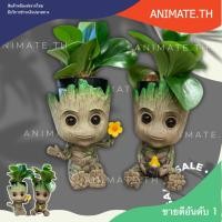 ราคา กระถางกรูท baby groot pot flower สูง 15 cm Guardian of The Galaxy พร้อมส่ง (21459560362)