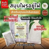 ราคา สมุนไพรอยู่ไฟ ชุด 12 วัน สมุนไพรอบตัว สูตรคุณแม่หลังคลอด พุงยุบ ลดไว ลดน้ำหนัก กระตุ้นน้ำนม (24321697560)