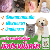 ราคา ไรหู1ฉีดสะอาดYDNยาล้างหูสุนัข ทำสะอาดช่องหู ไกลจากไรหู น้ำยาเช็ดหูสุนัข น้ำยาล้างหูแมว ยากำจัดไรหูแมว น้ำยาล้างหูสุนัข ยาหยอดหูสุนัข น้ำยาเช็ดหูแมว ยาหยอดหูแมว ยาหยอดไรหูแมว ยาหยอดไรหูหมา ยาหยดไรในหูแ