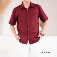 ราคา เสื้อเชิ้ต OXFORD คอปก แขนสั้น Slim Fit (22532287583)