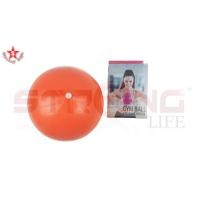 ราคา SKA ลูกบอลโยคะ GYM BALL fitness exercise (396847880)