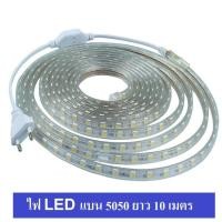 ราคา ไฟเส้นสายยาง แบน ไฟสายยาง สีขาว LED ROPE LIGHT ยาว 10เมตร ฟรีปลั๊กสำหรับสายยาง (390742882)