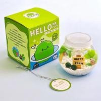 ราคา NovaBloom มาริโมะ เซ็ตมาริโมะโหลกลม ชุดพร้อมเลี้ยงมาริโมะ marimo มอสบอล ชุดพร้อมเลี้ยงมาริโมะแท้ (24375766055)