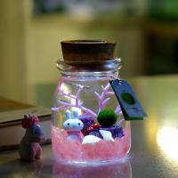 ราคา GZF มาริโมะ เซ็ตมาริโมะโหลกลม ชุดพร้อมเลี้ยงมาริโมะ marimo มอสบอล ชุดพร้อมเลี้ยงมาริโมะแท้ (24380912378)