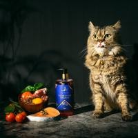 ราคา ALL RIGHT น้ำมันปลาแซลมอน Premium สำหรับสัตว์เลี้ยง บำรุงขน ลดขนร่วง เบื่ออาหาร สุนัข หมา แมว Salmon Oil for Pet 100 ผิวหนัง ไขข้อ หัวใจ สุขภาพดี (18066953279)