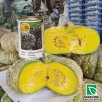 ราคา ฟักทอง ลายข้าวตอก ทิพย์ทอง ขนาด 50 กรัม (21403991837)