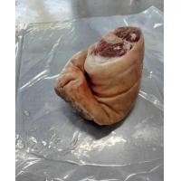 ราคา ขาหมูเยอรมัน ขาสด ขนาด800 1000กรัม (23127313205)