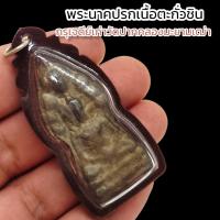 ราคา พระนาคปรกเนื้อตะกั่วชิน วัดปากคลองมะขามเฒ่า เลี่ยมกรอบพลาสติกกันน้ำ บูชาเสริมเมตตาบารมี แคล้วคลาดปลอดภัย (15876759750)