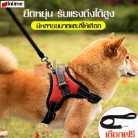 ราคา intime mall เชือกจูงสุนัขแบบเต็มตัว เชือกไนล่อนOxford 100 Traction เข็มขัดสัตว์เลี้ยง สายจูงเชือกไนล่อน เซ็ท2ชิ้น เหมาะสำหรับสุนัขทุกขนาด (2257132788)