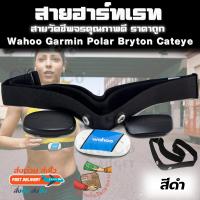 ราคา อะไหล่ สายคาดอก สายคาดหน้าอก สายรัด วัดชีพจร Garmin Polar Wahoo Bryton Sigma Cateye Coospo Heart Rate Monitor ที่เสีย ยืด ไม่วัดหัวใจ สีสันสด เหมาะกับบุคลิก ราคาถูก (1441924306)