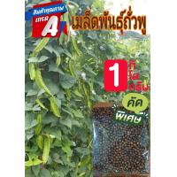 ราคา เมล็ดพันธุ์ถั่วพู เม็ดถั่วพู บรรจุ1กิโลกรัม ฟักดอก มีน้ำหนัก (9933317870)