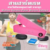 ราคา อะไหล่ สายคาดอก สายคาดหน้าอก สายรัด วัดชีพจร Garmin Polar Wahoo Bryton Sigma Cateye Coospo Heart Rate Monitor ที่เสีย ยืด ไม่วัดหัวใจ สีสันสด เหมาะกับบุคลิก ราคาถูก (1441924313)