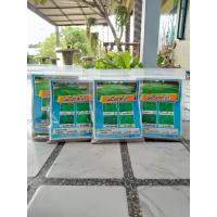 ราคา เมล็ดหญ้าเบอร์มิวด้า พาสพาลัม นวลน้อย เทียบ 100 กรัม 500000เมล็ด (20779987246)