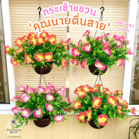ราคา กระเช้าดอกคุณนายตื่นสาย รุ่นฟู 50 ซม กระเช้าแขวน สำหรับตกแต่งบ้าน ตกแต่งห้อง ดอกไม้แขวน ดอกคุณนายตื่นสายแขวน คุณนายตื่นสาย (24538403391)