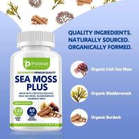 ราคา Pslaae Sea Moss Plus 30Cps Organic Wild Irish Sea Moss กระเพาะปัสสาวะและรากหญ้าเจ้าชู้ สนับสนุนภูมิคุ้มต้านทาน ปรับสมดุลสุขภาพ (22424150876)