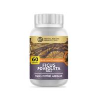 ราคา ม้ากระทืบโรง Ficus Foveolata wall Herb 100 เกรดพรีเมี่ยม แคปซูล 60 เม็ด (20391855093)